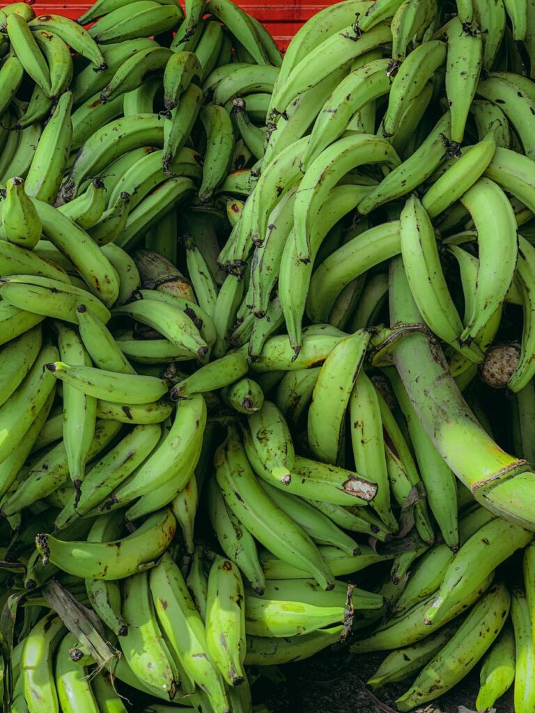 Bunch of green plantains piled together; balance your starches